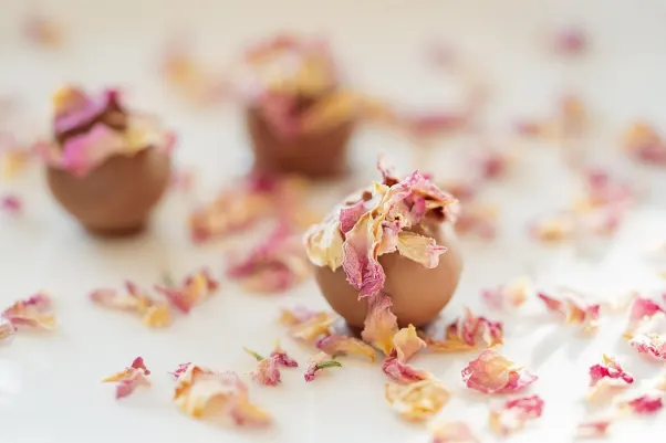 Casino Rocket Slots Android/iOS Forrit